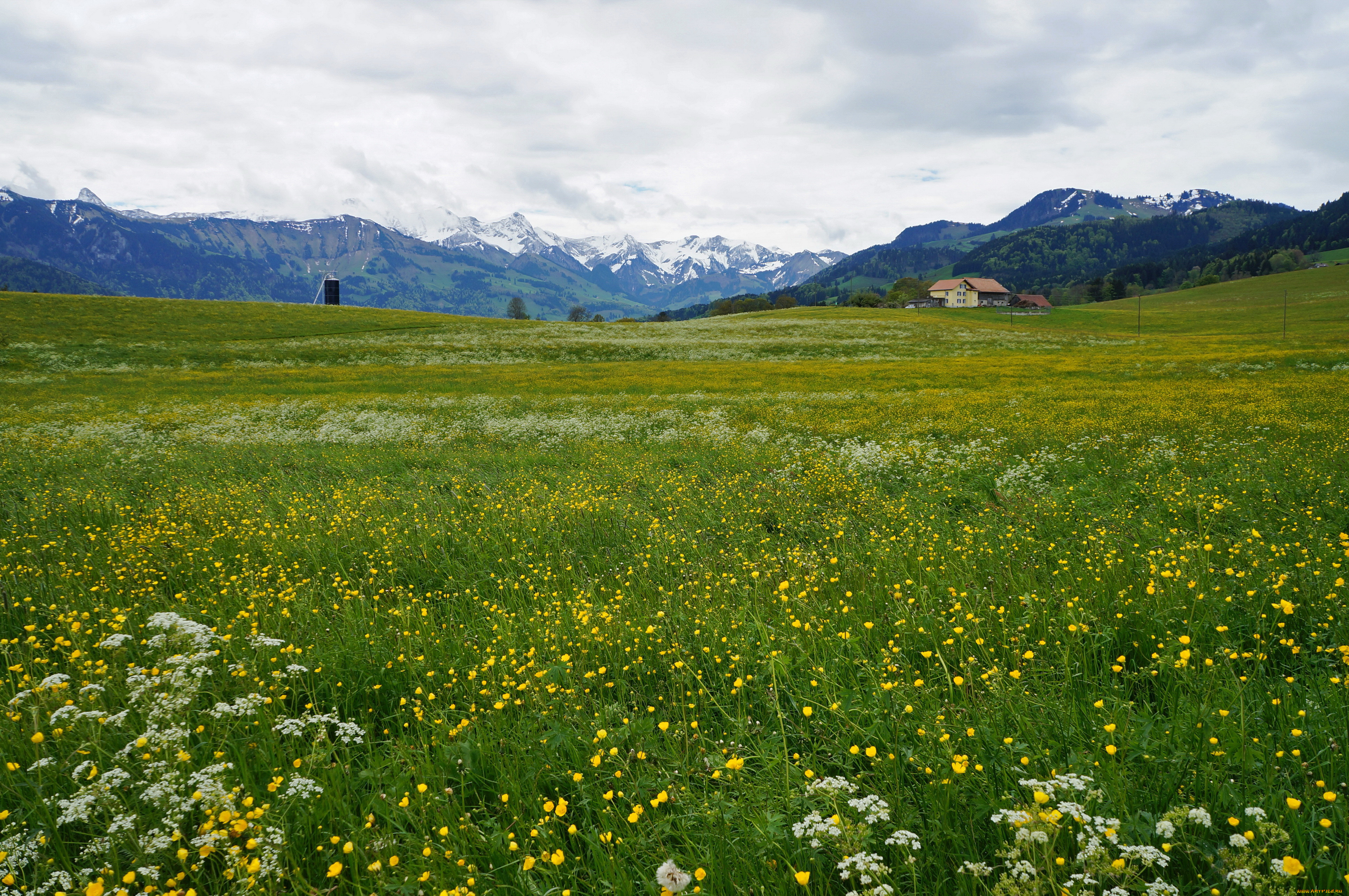 gruyere, switzerland, , , 